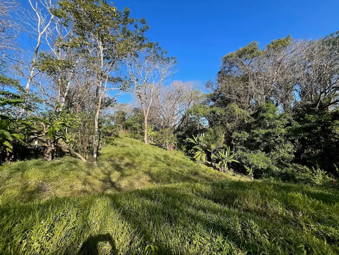 Propiedad de ensueño en Delicias: 7.100 m² de terreno exuberante con arroyo y árboles frutales, a minutos de Santa Teresa. - Imagen 7