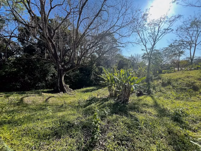 Propiedad de ensueño en Delicias: 7.100 m² de terreno exuberante con arroyo y árboles frutales, a minutos de Santa Teresa. - Imagen 12