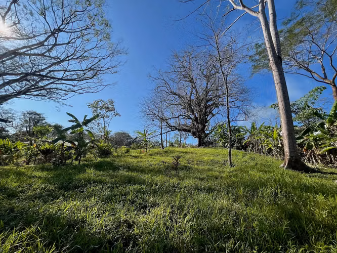 Propiedad de ensueño en Delicias: 7.100 m² de terreno exuberante con arroyo y árboles frutales, a minutos de Santa Teresa. - Imagen 6