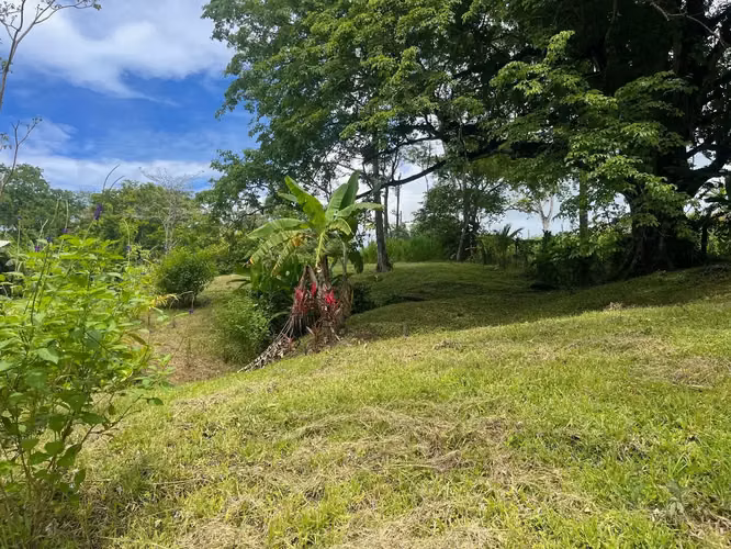 Propiedad de ensueño en Delicias: 7.100 m² de terreno exuberante con arroyo y árboles frutales, a minutos de Santa Teresa. - Imagen 5