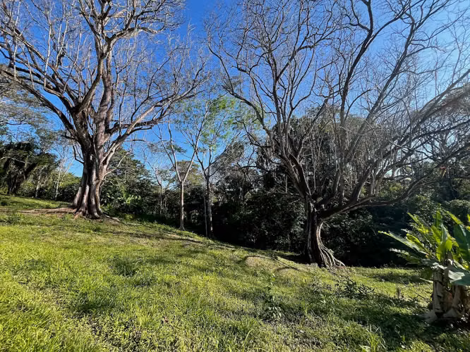 Propiedad de ensueño en Delicias: 7.100 m² de terreno exuberante con arroyo y árboles frutales, a minutos de Santa Teresa. - Imagen 11