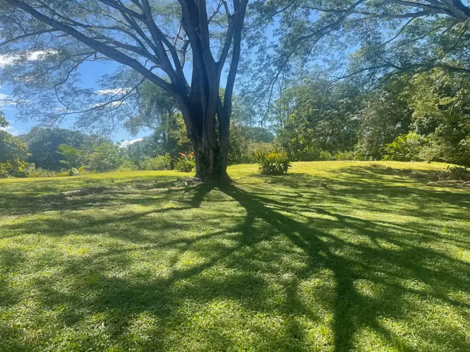 Un paraíso escondido en Orotina: 4,919 m² para crear la vida que sueñas - Imagen 4