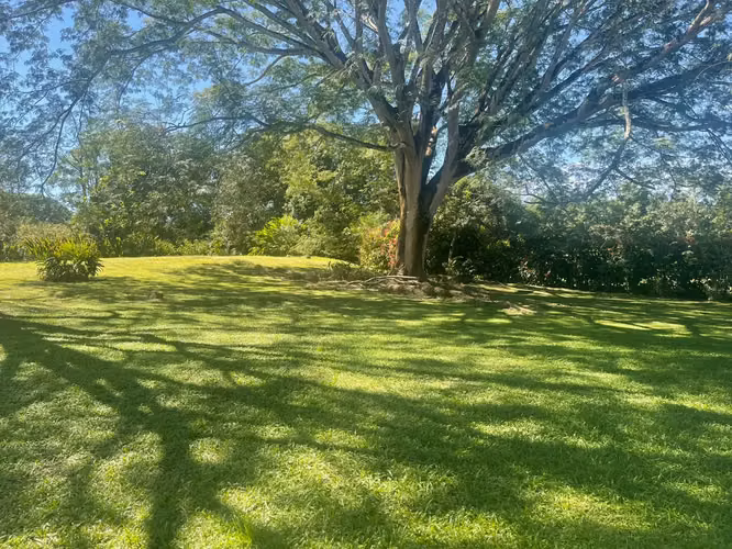 Un paraíso escondido en Orotina: 4,919 m² para crear la vida que sueñas - Imagen 5