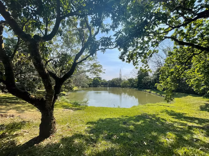 Venta Finca de Cafe Atenas - Imagen 1