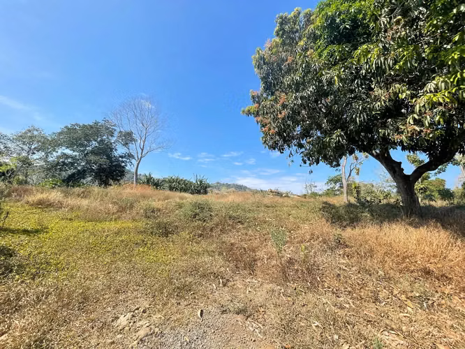 Venta Finca de Cafe Atenas - Imagen 8