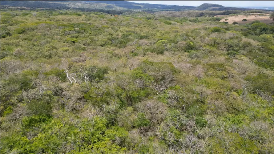 Terreno Exclusivo de 6.5 Hectáreas en Quebrada Grande de  Liberia, Guanacaste - Imagen 7
