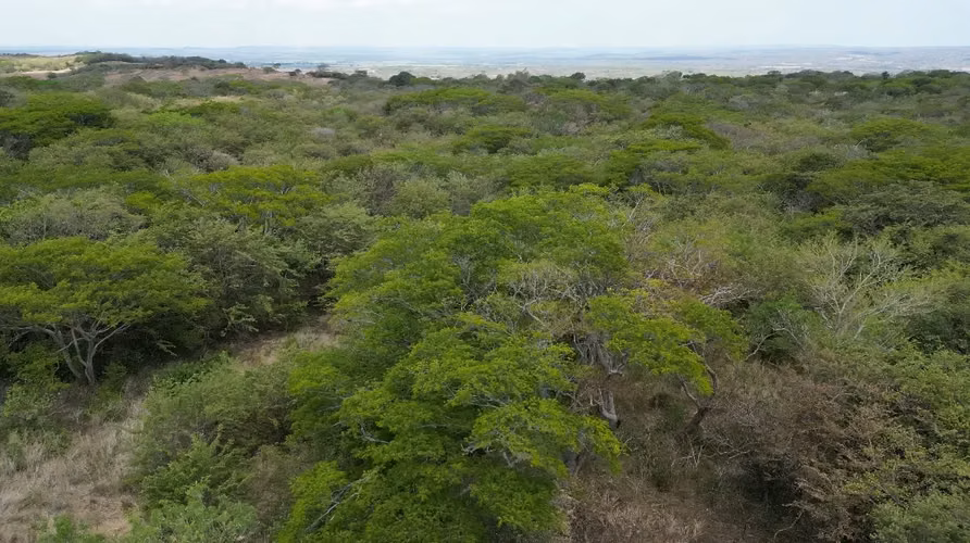 Terreno Exclusivo de 6.5 Hectáreas en Quebrada Grande de  Liberia, Guanacaste - Imagen 8