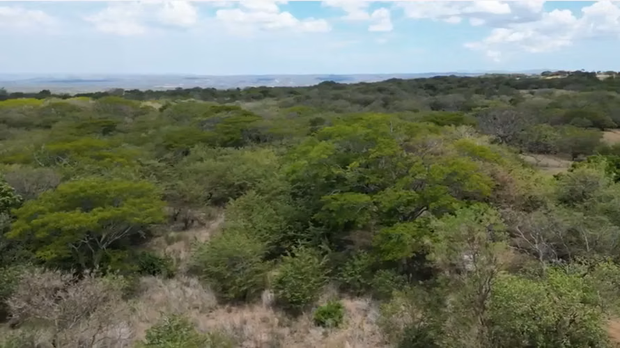 Terreno Exclusivo de 6.5 Hectáreas en Quebrada Grande de  Liberia, Guanacaste - Imagen 2