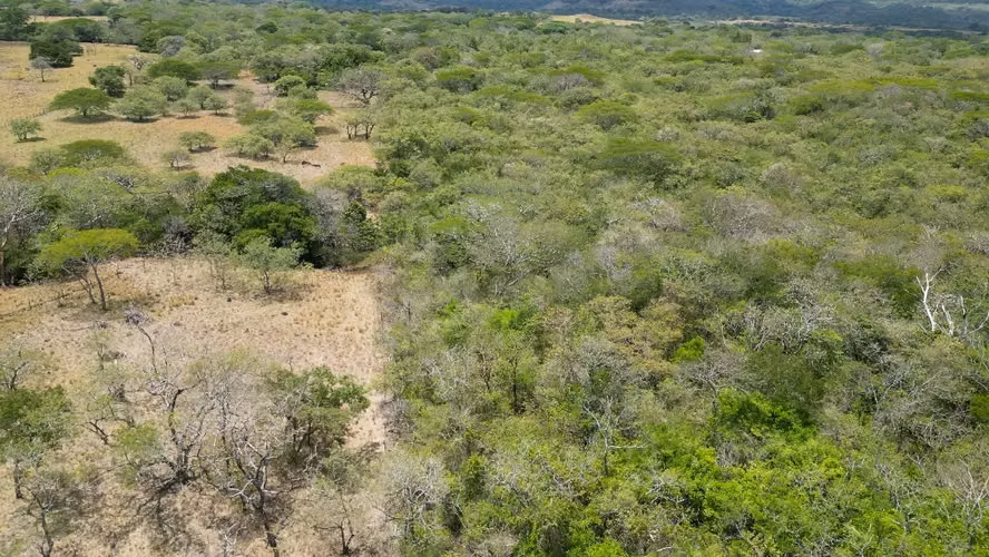 Terreno Exclusivo de 6.5 Hectáreas en Quebrada Grande de  Liberia, Guanacaste - Imagen 6