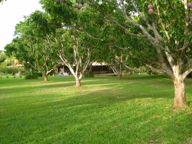 Extenso Lote de 11380 m² en Orotina, Alajuela - Terreno Ideal para Desarrollo o Finca Privada - Imagen 4