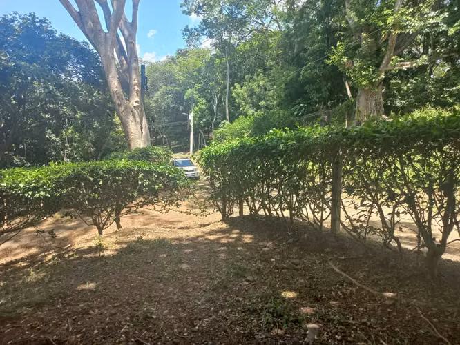 Amplio Paraíso Tropical de 1.1 Acres: Terreno Listo para Construir con Vistas a la Montaña y al Atardecer - Imagen 18