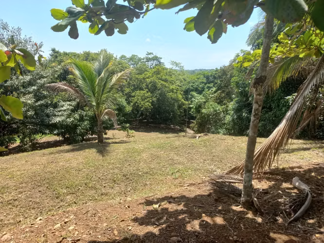 Amplio Paraíso Tropical de 1.1 Acres: Terreno Listo para Construir con Vistas a la Montaña y al Atardecer - Imagen 9