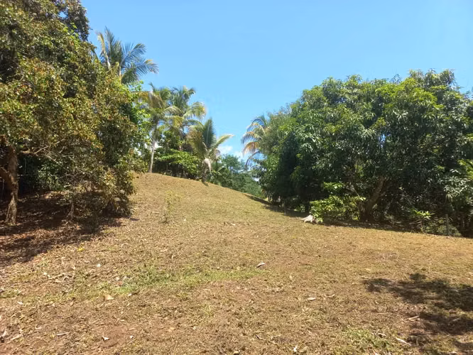 Amplio Paraíso Tropical de 1.1 Acres: Terreno Listo para Construir con Vistas a la Montaña y al Atardecer - Imagen 20
