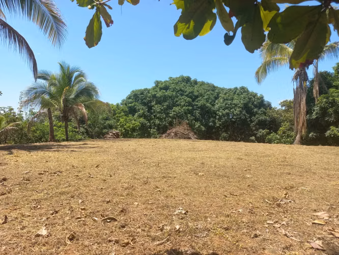 Amplio Paraíso Tropical de 1.1 Acres: Terreno Listo para Construir con Vistas a la Montaña y al Atardecer - Imagen 12