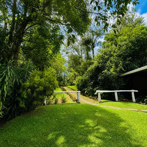Natural Investment Gem in Cartago | 53,383 m² with Water, Cabin, Rancho, Trails & Mountain Views