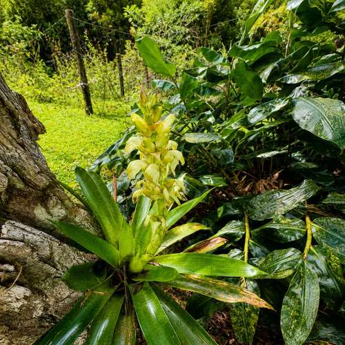Natural Investment Gem in Cartago | 53,383 m² with Water, Cabin, Rancho, Trails & Mountain Views