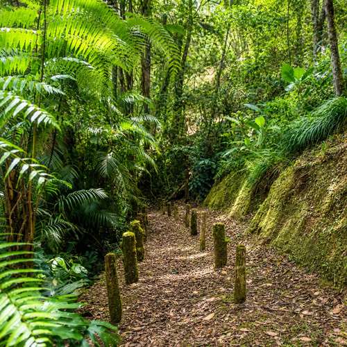 Natural Investment Gem in Cartago | 53,383 m² with Water, Cabin, Rancho, Trails & Mountain Views