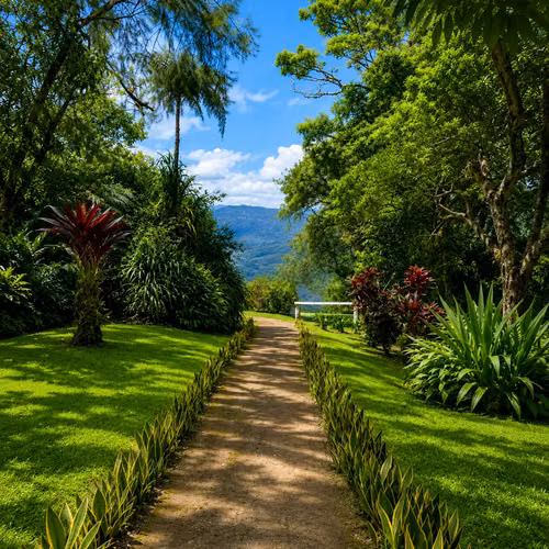Gema Natural de Inversión en Cartago | 53.383 m² con Agua, Cabaña, Rancho, Senderos y Vistas a la Montaña