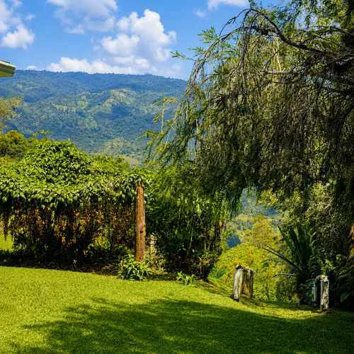 Gema Natural para Inversión en Cartago | 53.383 m² con Agua, Cabaña, Rancho, Senderos y Vistas a la Montaña - Imagen 5