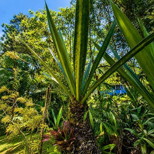 Natural Investment Gem in Cartago | 53,383 m² with Water, Cabin, Rancho, Trails & Mountain Views
