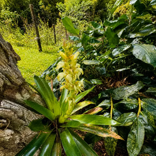 Gema Natural para Inversión en Cartago | 53.383 m² con Agua, Cabaña, Rancho, Senderos y Vistas a la Montaña - Imagen 16