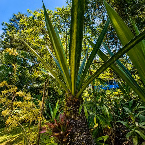 Gema Natural para Inversión en Cartago | 53.383 m² con Agua, Cabaña, Rancho, Senderos y Vistas a la Montaña - Imagen 2