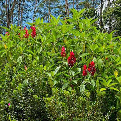 Natural Investment Gem in Cartago | 53,383 m² with Water, Cabin, Rancho, Trails & Mountain Views