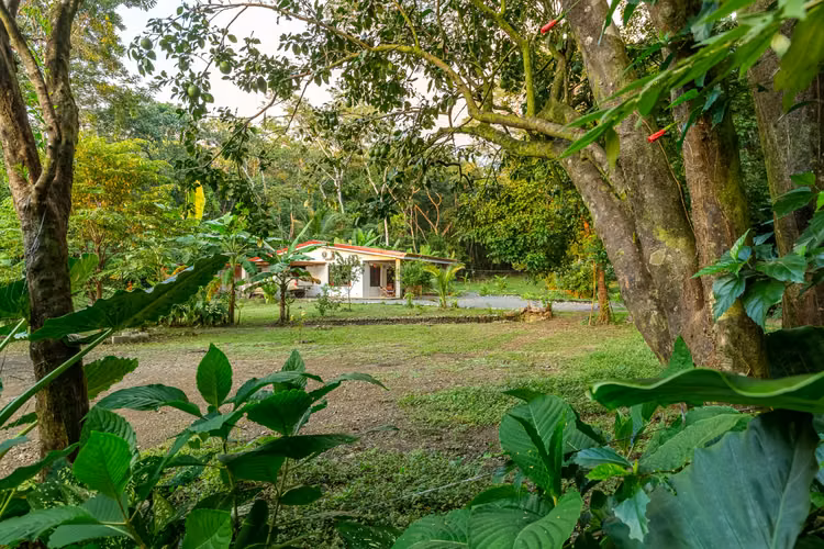 Finca Familiar en Mal País | A Pasos de la Playa, Vistas al Mar y Jardines Tropicales - Imagen 4