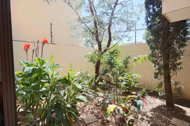 Venta Casa Independiente de 3 Habitaciones con Jardín en Alajuela - Imagen 4