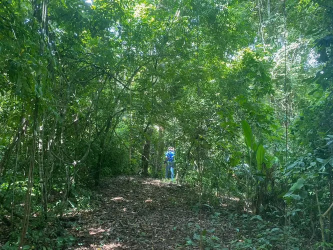 Terreno Exclusivo con Río y Bosque en Garabito: Su Santuario Privado en Costa Rica - Imagen 4