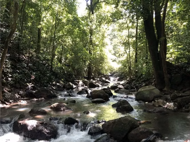 Lote de 2352.95 m2 con vistas panorámicas en La Gúacima, Alajuela. - Imagen 8