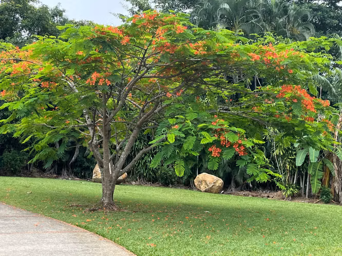 Lote de 2352.95 m2 con vistas panorámicas en La Gúacima, Alajuela. - Imagen 10