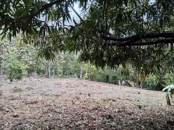 Venta de Lote en Mansión-Nicoya, Guanacaste. 26-350 - Imagen 12