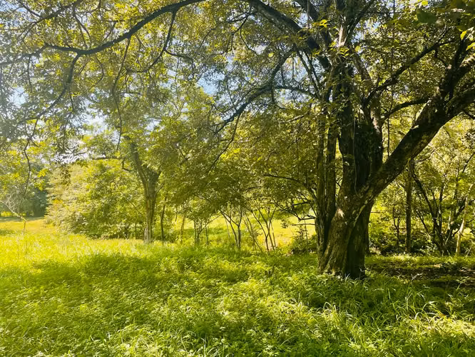 Terreno con Vista a las Montañas Cerca de Tamarindo – El Llano, Costa Rica - Imagen 6