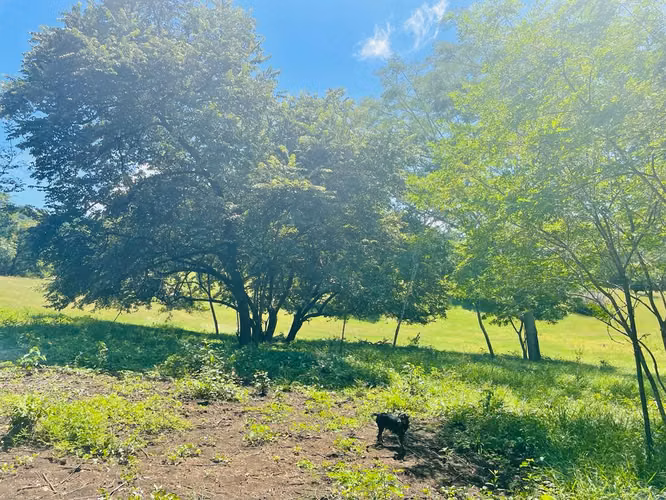 Terreno con Vista a las Montañas Cerca de Tamarindo – El Llano, Costa Rica - Imagen 12