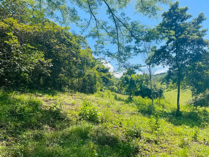 Terreno con Vista a las Montañas Cerca de Tamarindo – El Llano, Costa Rica - Imagen 11