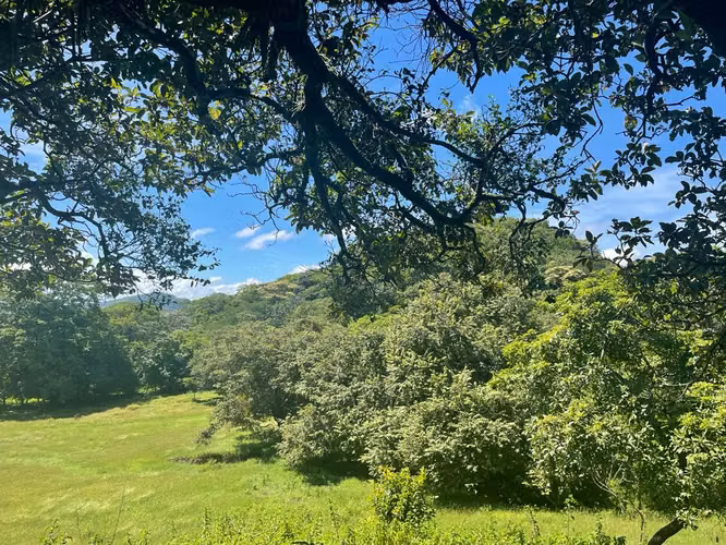 Terreno con Vista a las Montañas Cerca de Tamarindo – El Llano, Costa Rica - Imagen 8