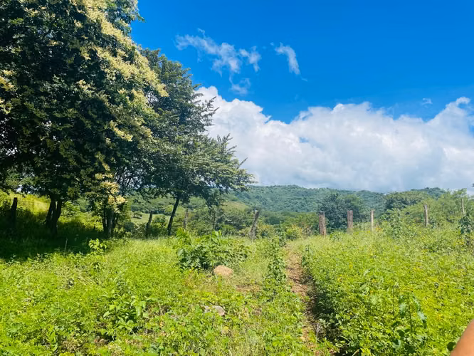 Terreno con Vista a las Montañas Cerca de Tamarindo – El Llano, Costa Rica - Imagen 5