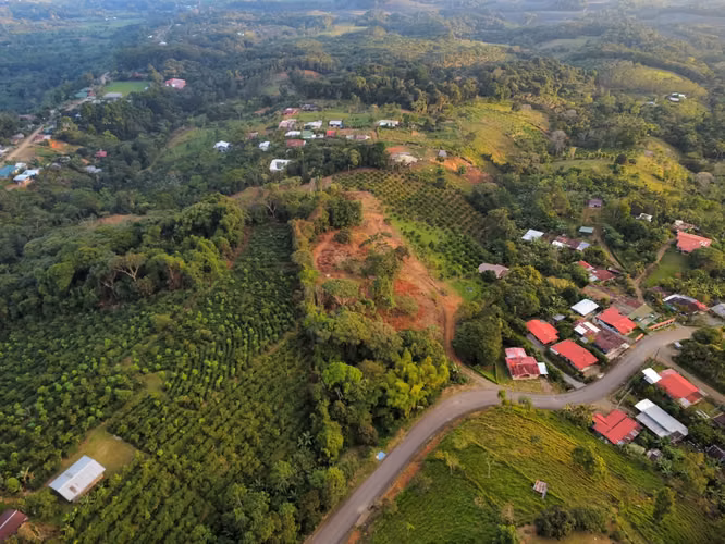Terreno en Santa Teresa de Cajon - Imagen 4