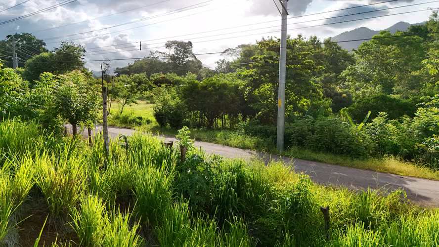 Lote en venta en San Pedro, Nandayure, Guanacaste (FB) - Imagen 2