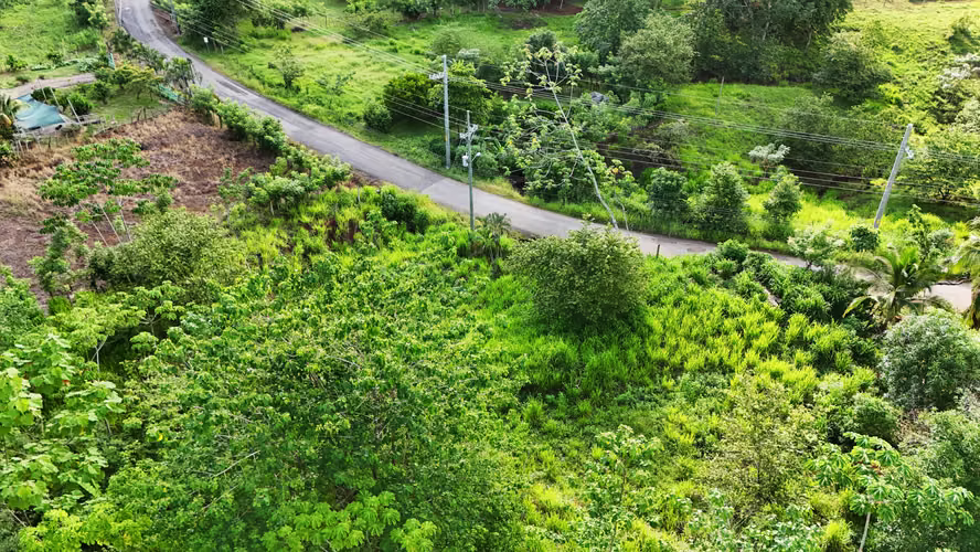 Lote en venta en San Pedro, Nandayure, Guanacaste (FB) - Imagen 7
