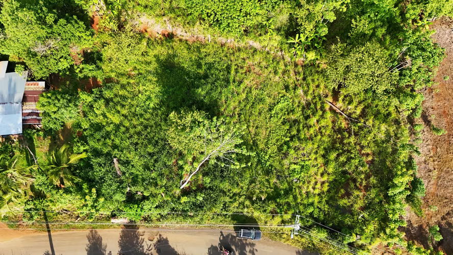Lot for Sale in San Pedro, Nandayure, Guanacaste (FB)