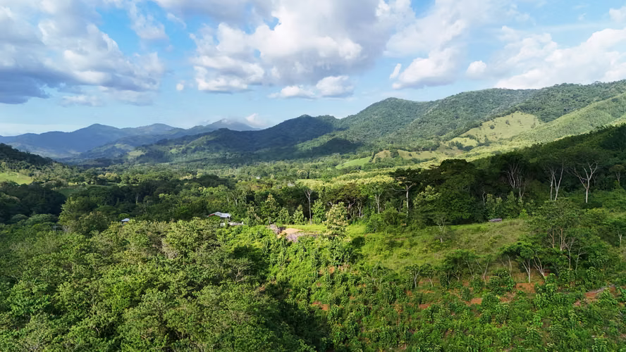 Lote en venta en San Pedro, Nandayure, Guanacaste (FB) - Imagen 13
