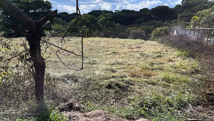 Lote en venta – Residencial Caballo Real, La Vuelta de La Guácima - Imagen 5