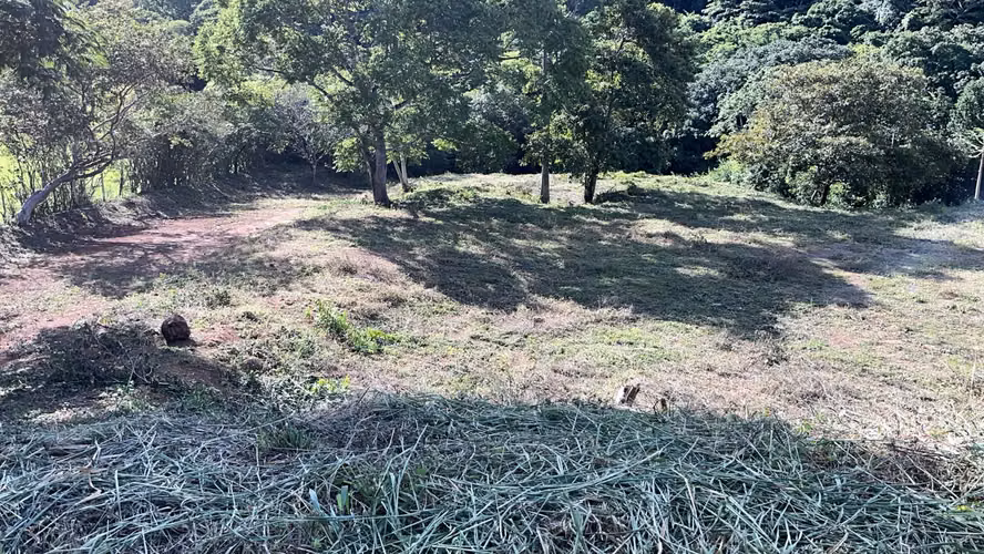 Lote en venta – Residencial Caballo Real, La Vuelta de La Guácima - Imagen 3