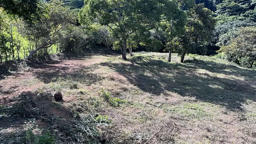 Lote en venta – Residencial Caballo Real, La Vuelta de La Guácima