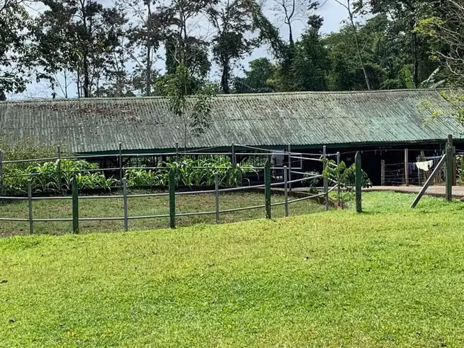 Hermosa Propiedad Turística de 480.000 m² en Alajuela