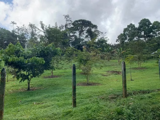 Hermosa Propiedad Turística de 480.000 m² en Alajuela
