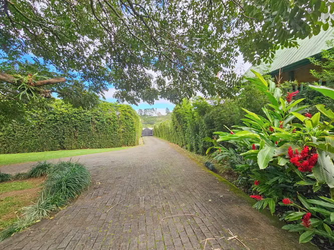 LUJOSA CASA DE 570 M2 CON 2.244 M2 DE LOTE EN SAN ANTONIO ESCAZU - Imagen 4