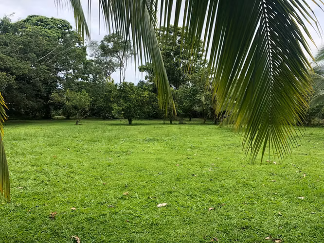 Venta de Espectacular Terreno Plano 4.125 Mtrs cuadarados! - Imagen 2